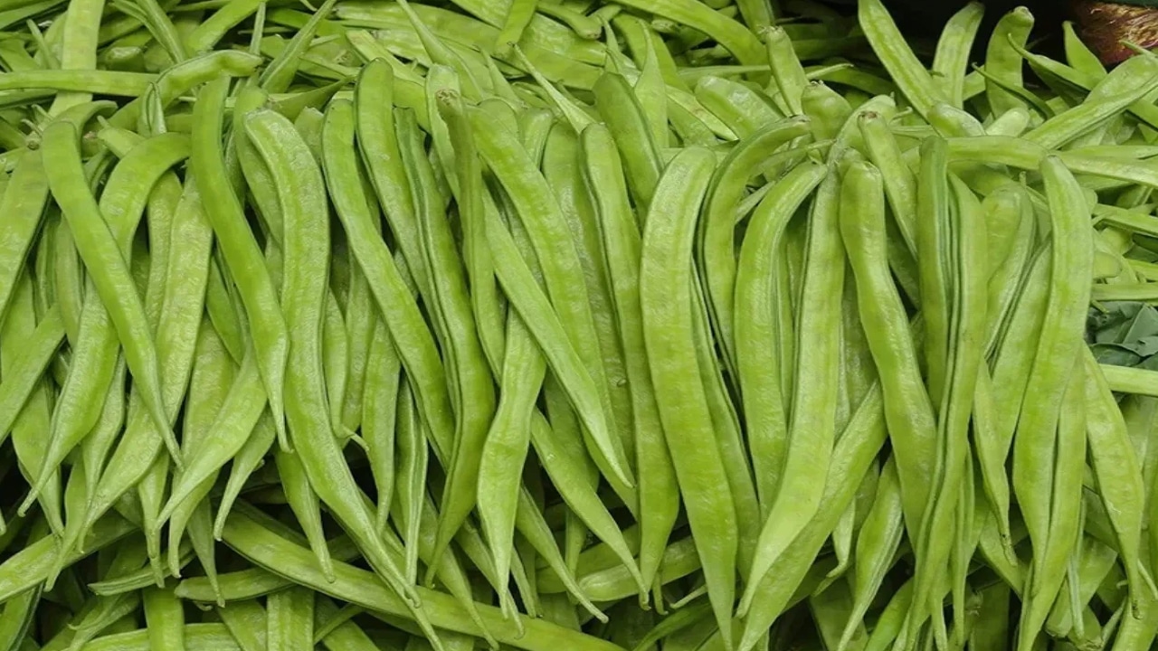 Cluster Beans : గోరుచిక్కుడు కాయను చిన్న చూపు చూడకండి… దీని ఔషధ గుణాలు తెలిస్తే మతిపోతుంది…?