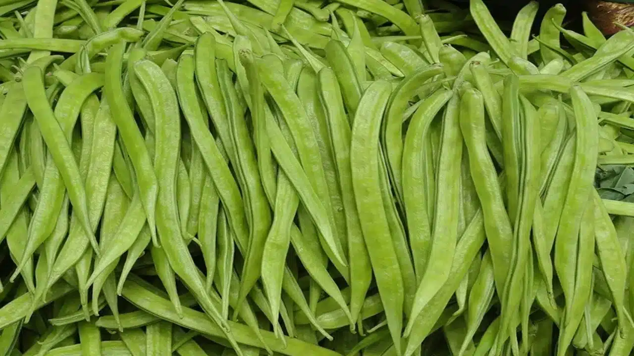 Cluster Beans : గోరుచిక్కుడు కాయను చిన్న చూపు చూడకండి... దీని ఔషధ గుణాలు తెలిస్తే మతిపోతుంది...?