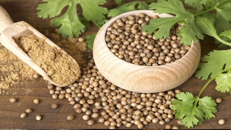 Coriander Seed Water : రాత్రంతా నానబెట్టిన ధనియాల నీటితో సూపర్ బెనిఫిట్స్… శరీరంలో ఏం జరుగుతుందో తెలుసా…?