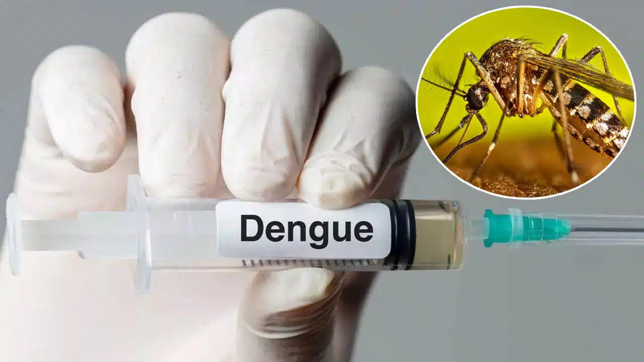 Dengue Vaccine : ప్రజలకు గుడ్ న్యూస్... ప్రమాదకరమైన డెంగ్యూకి... వ్యాక్సిన్ వచ్చేసింది...!
