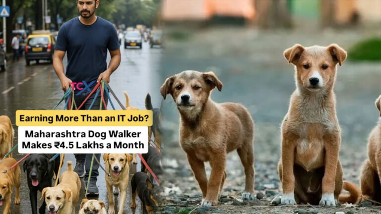 Dogs Walker : కుక్క‌ల‌ని వాకింగ్ తీసుకెళుతూ అన్ని ల‌క్ష‌లు సంపాదిస్తున్నాడా.. ఎలా..?