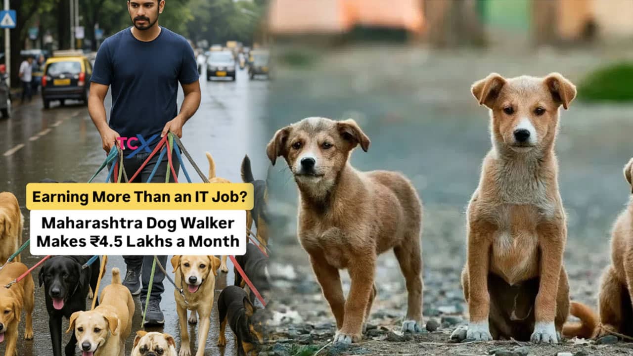 Dogs Walker కుక్కలని వాకింగ్ తీసుకెళుతూ అన్ని లక్షలు సంపాదిస్తున్నాడా ఎలా