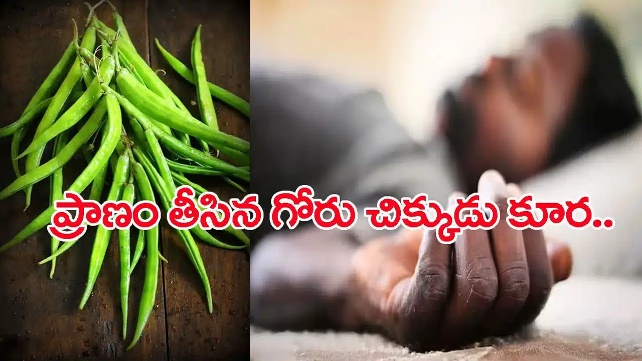 Guar : గోరు చిక్కుడు ఎంత పని చేసిందో తెలుసా..? ముగ్గురి ప్రాణాలు తీసింది..!