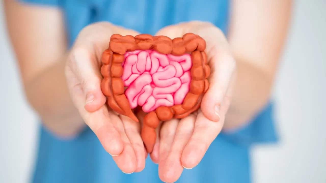 Gut Health : మీ పేగు ఆరోగ్యంగా ఉండాలంటే… ఈ 7 ప్రీబయోటిక్ ఆహారాలు తీసుకోండి… మీరు షాకే..?