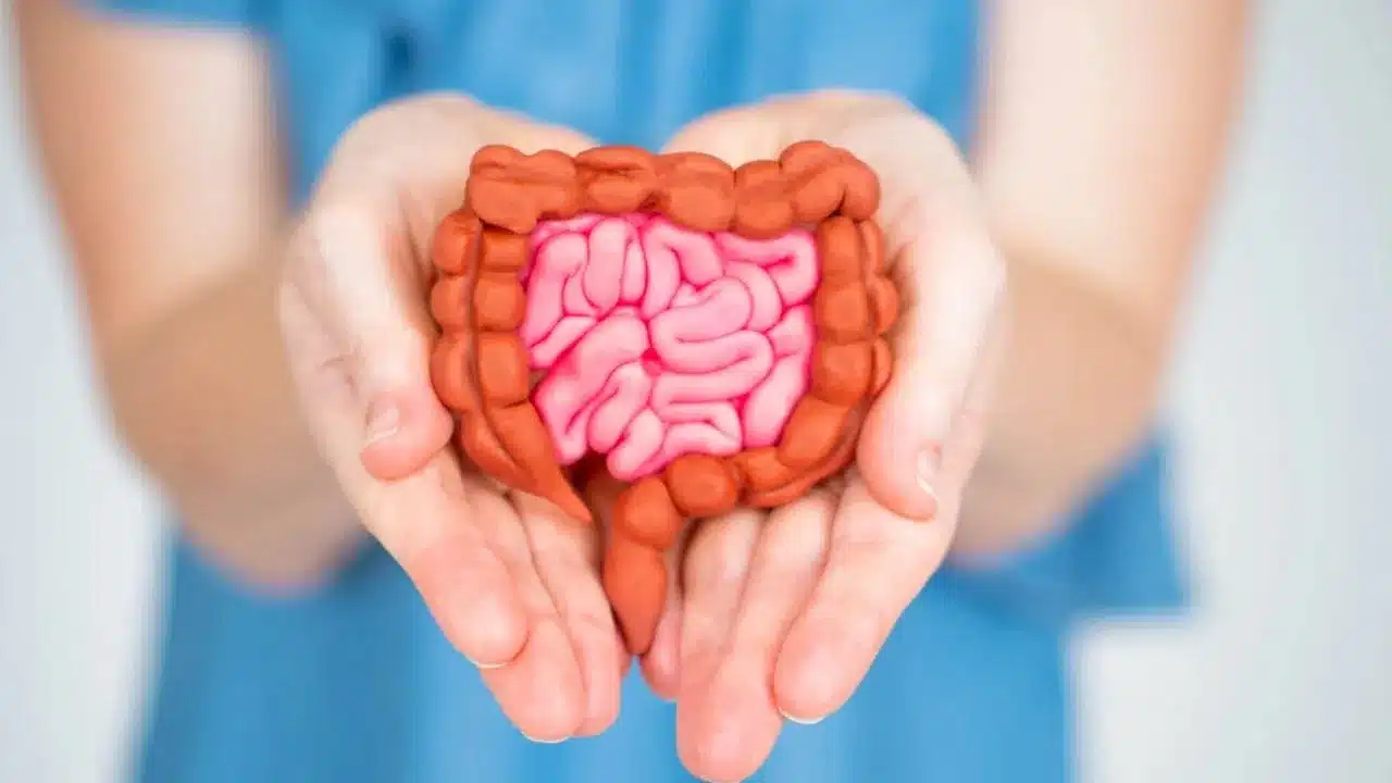 Gut Health : మీ పేగు ఆరోగ్యంగా ఉండాలంటే... ఈ 7 ప్రీబయోటిక్ ఆహారాలు తీసుకోండి... మీరు షాకే..?