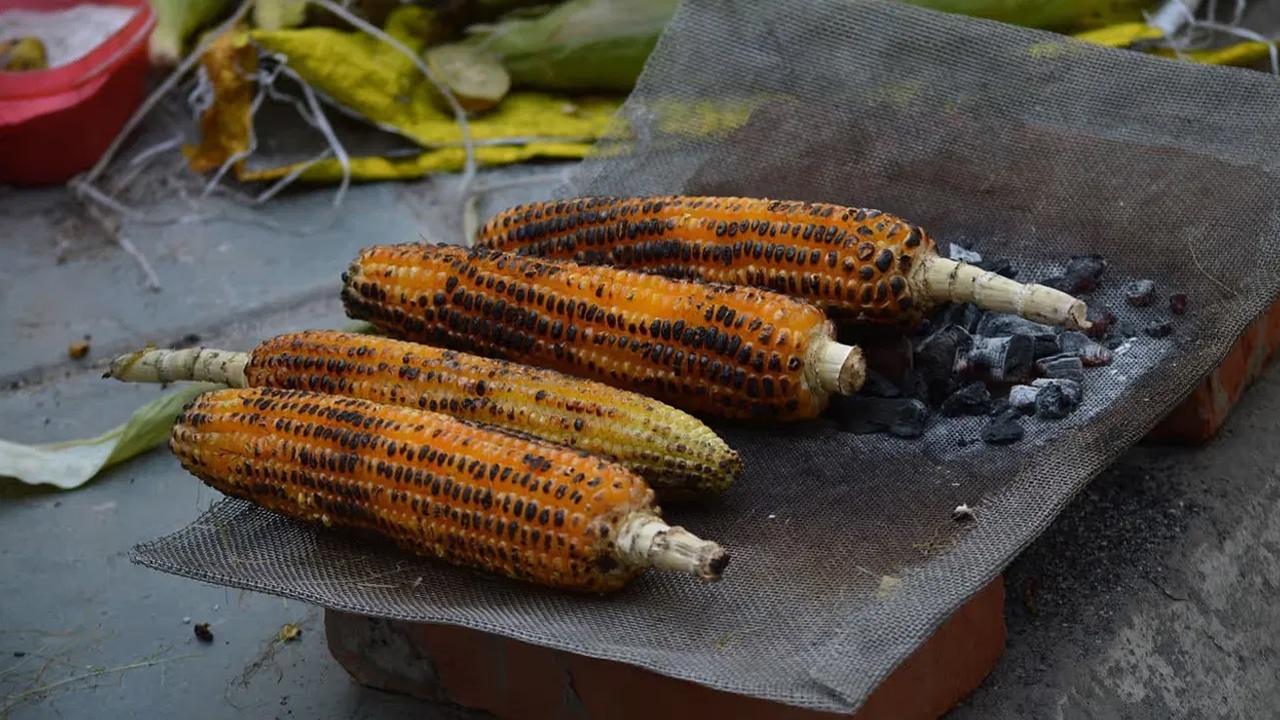 Healthy Street Food : ఇది రుచితో పాటు ఆరోగ్యాన్ని ఇస్తుంది… అదేనండి…స్ట్రీట్ ఫుడ్ వీటి రూటే సపరేట్…?
