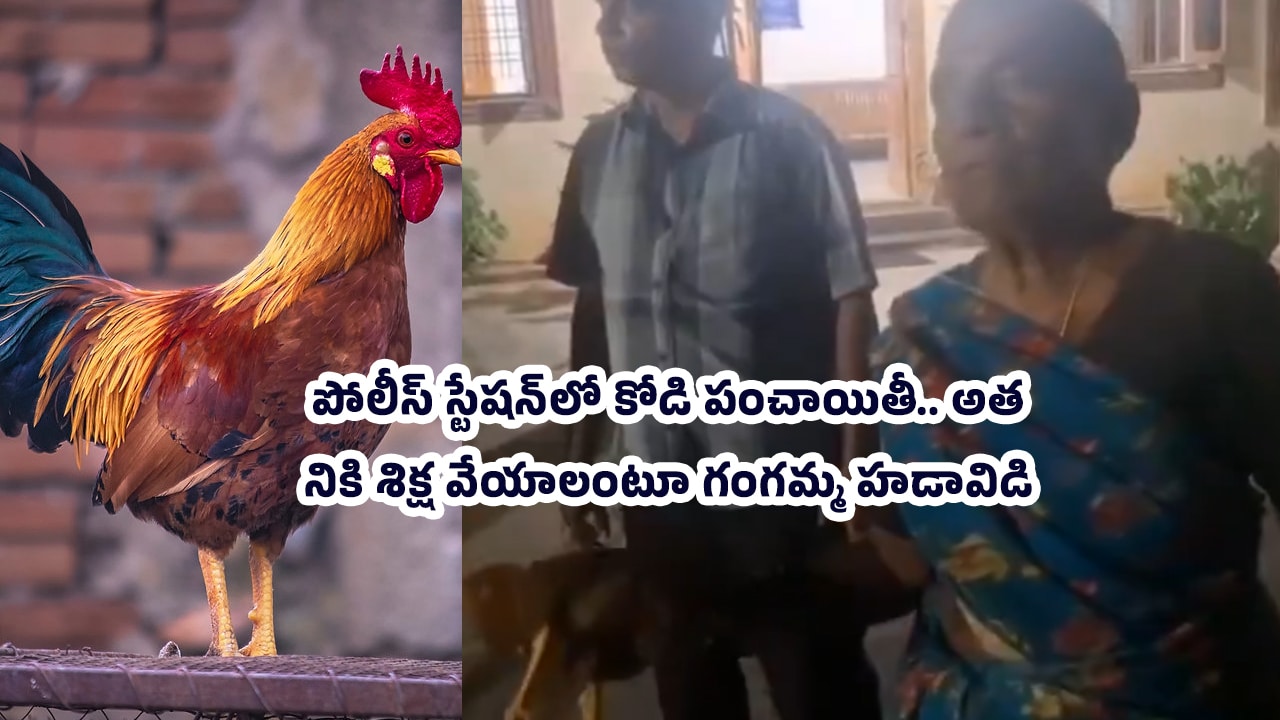 Viral Video : పోలీస్ స్టేషన్‌లో కోడి పంచాయితీ.. అత‌నికి శిక్ష వేయాలంటూ గంగమ్మ హడావిడి.. వీడియో వైర‌ల్‌..!
