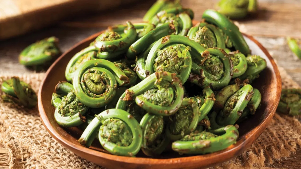 Lingad Vegetable : ఈ విచిత్రమైన ఆకుకూరగాయను మీరు ఎప్పుడైనా చూశారా… ఇది చేపలు, మాంసం కంటే బలమైనది..?