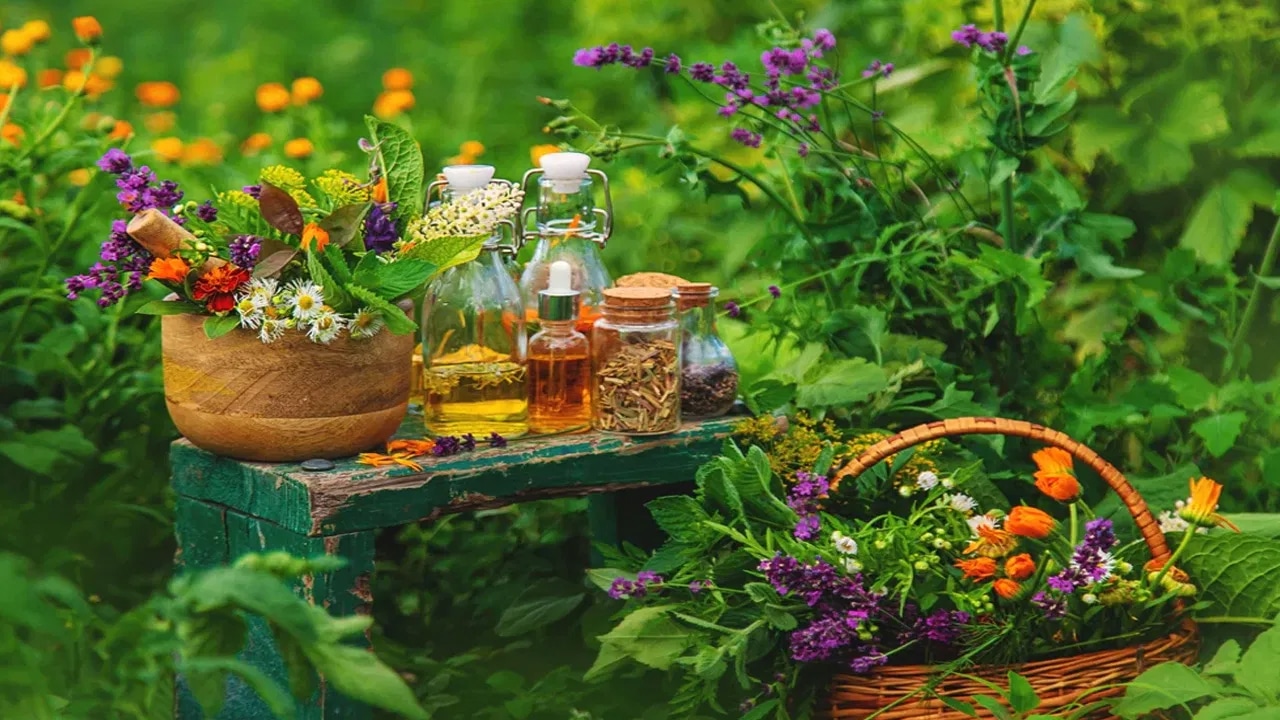 Medicinal Plants : వర్షాకాలంలో ఈ మొక్కల్ని మీ ఇంట్లో పెంచుకోండి… అందంతో పాటు ఆరోగ్యం కూడా మీ సొంతం…?