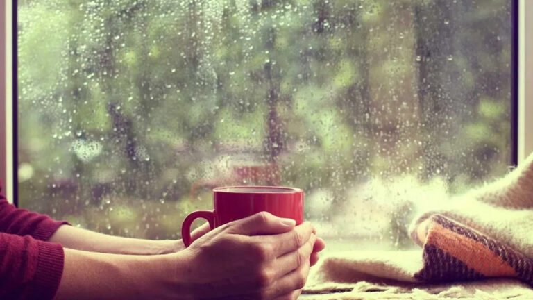 Monsoon Detox Drinks : వర్షాకాలంలో ఈ డ్రింక్స్ ని తీసుకున్నట్లయితే… మీకు ఫుల్ పవర్స్ వచ్చేస్తాయి…?