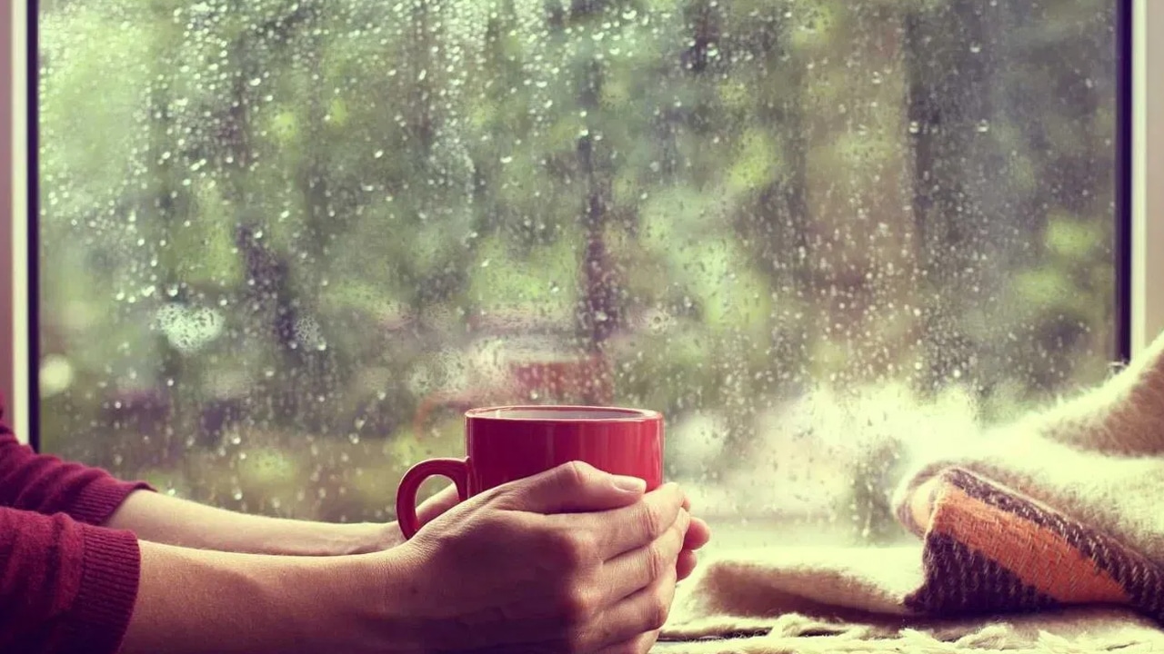 Monsoon Detox Drinks : వర్షాకాలంలో ఈ డ్రింక్స్ ని తీసుకున్నట్లయితే… మీకు ఫుల్ పవర్స్ వచ్చేస్తాయి…?