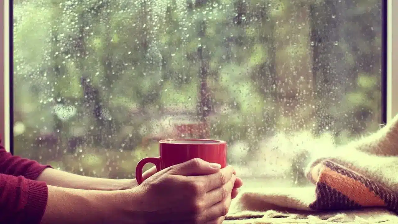 Monsoon Detox Drinks : వర్షాకాలంలో ఈ డ్రింక్స్ ని తీసుకున్నట్లయితే... మీకు ఫుల్ పవర్స్ వచ్చేస్తాయి...?