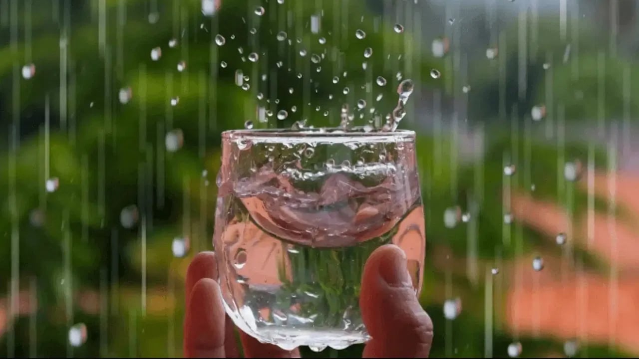 Rain Water : వర్షపు నీరు ఎప్పుడైనా తాగారా… ఇది ఆరోగ్యానికి మంచిదేనా…?