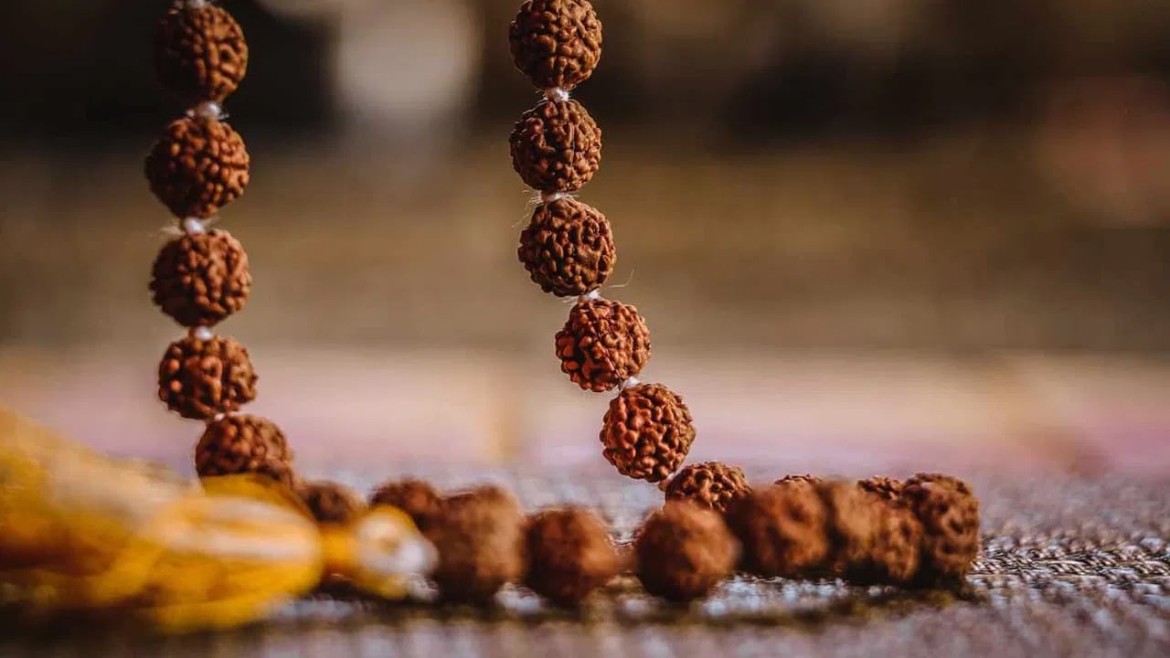 Rudraksha : ఏ కులవృత్తికైనా, వ్యాపారాలకైనా…. ఒక్కో రుద్రాక్ష… ఏలాంటి రుద్రాక్షలు ధరిస్తే కుబేరులవుతారో తెలుసా…?
