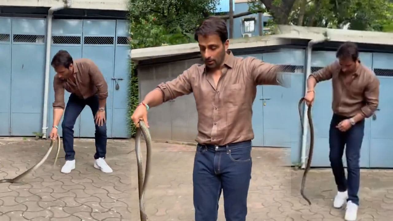 Sonu Sood : ఇంటి ఆవ‌ర‌ణ‌లోకి వ‌చ్చిన పాము.. భ‌యం లేకుండా సోనూసూద్ అలా ప‌ట్టేసుకున్నాడేంటి.. వీడియో?
