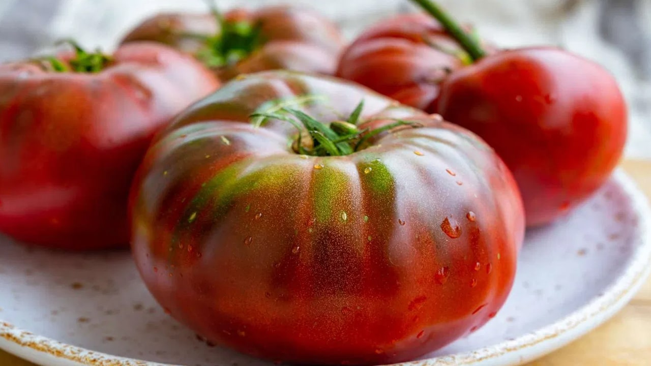 Tomatoes : టమెటా తినేవారికి ఇది తెలుసా… దీనిని తింటే శరీరంలో ఇదే జరుగుతుంది…?