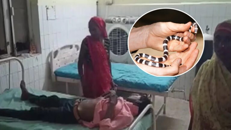 Young Man : మద్యం మత్తులో పామును కొరికి తినేసిన యువకుడు… ఆ తర్వాత ఏం జరిగిందంటే !!