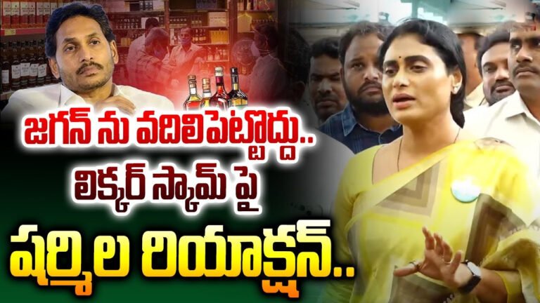 YS Sharmila : లిక్కర్ కేసులో జగన్ కు ఉచ్చుపడేలా వ్యాఖ్యలు చేసిన షర్మిల.. వీడియో !