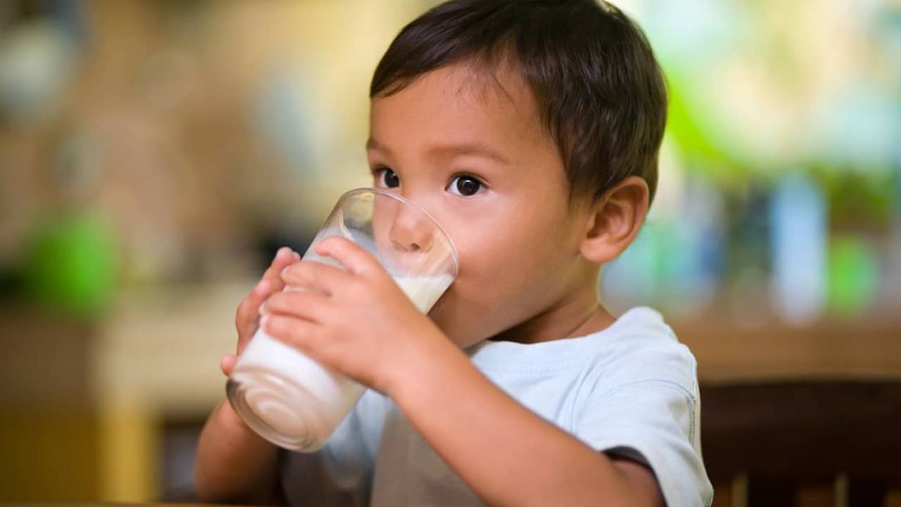 Milk : మీ పిల్లలకు ఉదయాన్నే పరగడుపున పాలు తాగిస్తున్నారా… ఎంత ప్రమాదమో తెలుసా…?