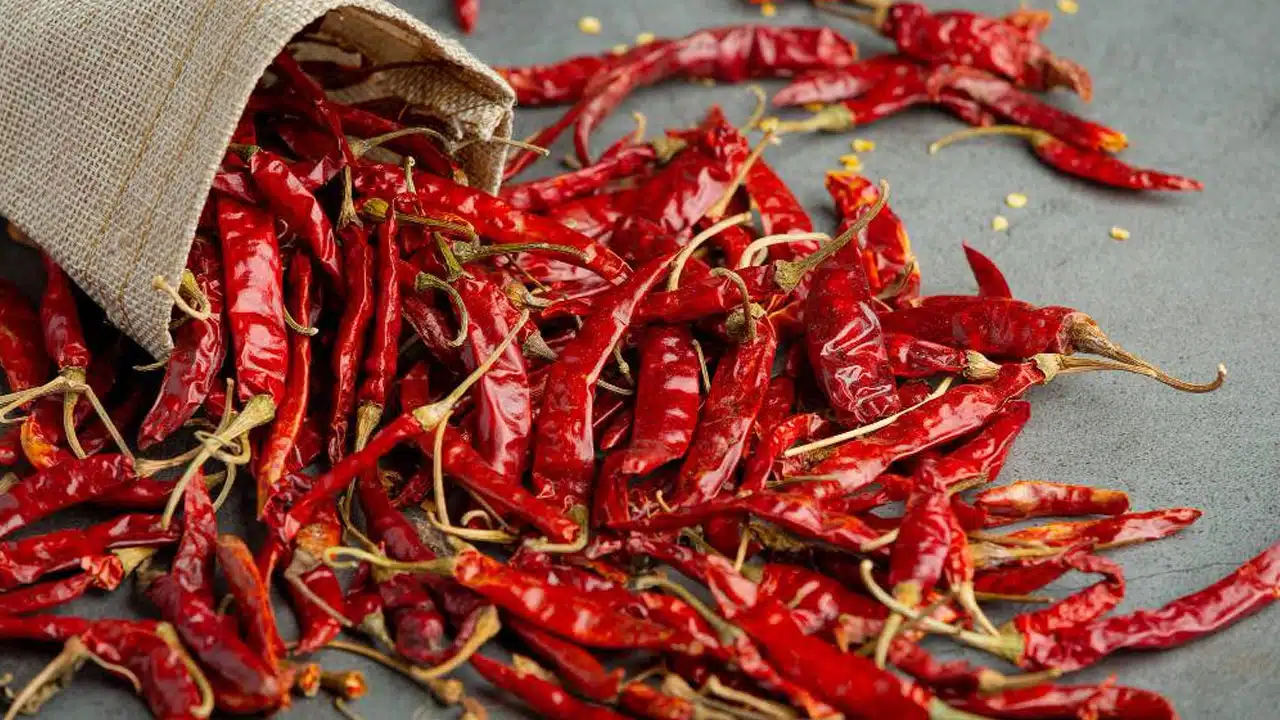 Red Chillies : ఎండుమిరపకాయలు తింటే ఆరోగ్యానికి మంచిదేనా... దీని గురించి తెలుసుకోవలసిన విషయాలు మీకోసం...?