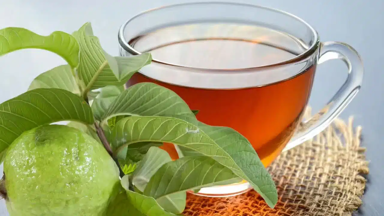 Guava Leaf Tea : ఈ ఆకుతో తయారు చేసిన టీ ని ఎప్పుడైనా తాగారా... ఒక్కసారి తాగితే అస్సలు వదలరుగా...?