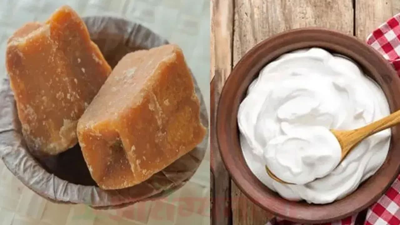 Curd | పెరుగు, బెల్లం క‌లిపి తింటే ఎన్ని ర‌కాల ప్ర‌యోజ‌నాలు ఉన్నాయో మీకు తెలుసా?