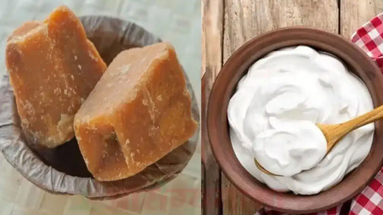 Curd | పెరుగు, బెల్లం కలిపి తింటే ఎన్ని రకాల ప్రయోజనాలు ఉన్నాయో మీకు తెలుసా?