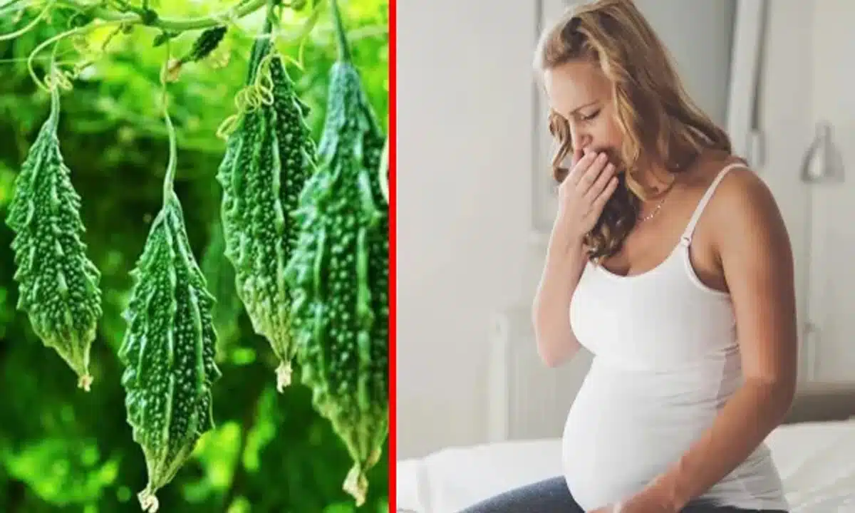 Bitter Gourd during Pregnancy : గర్భిణీ మహిళలు... కాకరకాయ తింటున్నారా... ఇక అంతే సంగతులు...?