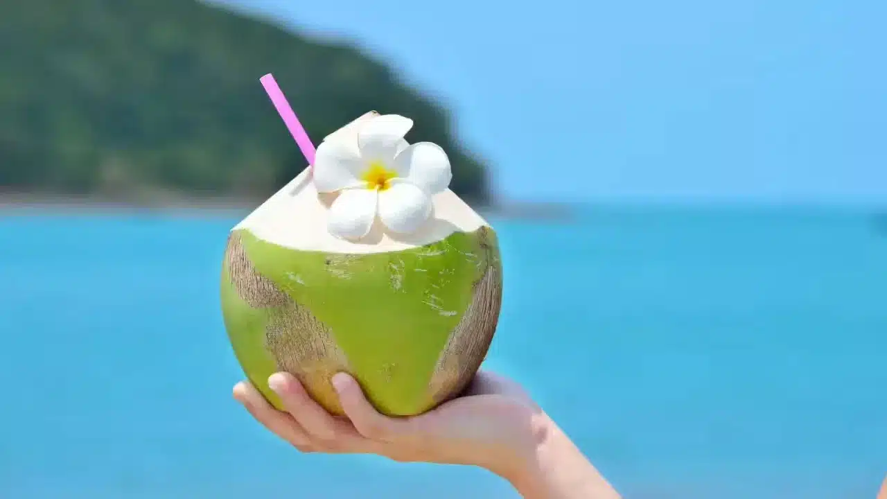 Coconut Water | కొబ్బ‌రి నీళ్లు వారో తాగారో అంతే.. ఈ విష‌యం త‌ప్ప‌క తెలుసుకోండి..!