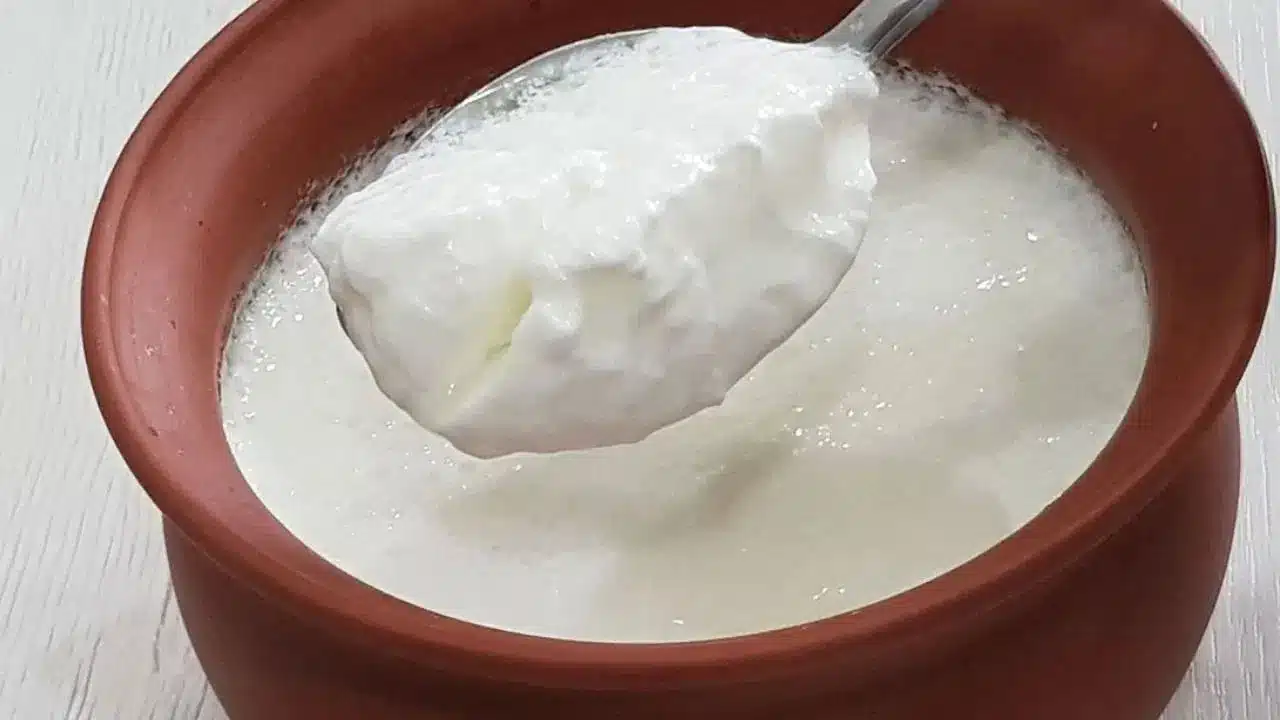 Curd | పాలు, పెరుగు ఖాళీ కడుపుతో అస్స‌లు తీసుకోవ‌ద్దు.. నిపుణుల హెచ్చరిక