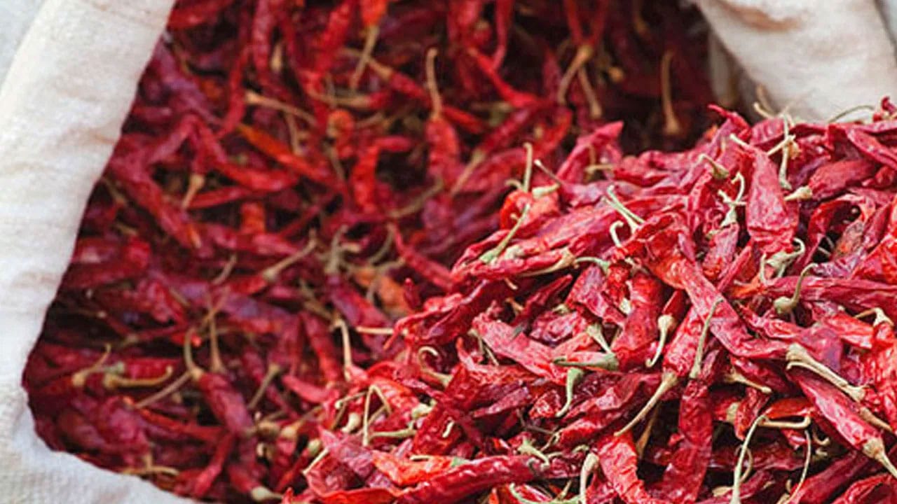 Dried Chillies | ఎండు మిర్చి తినడం వల్ల ఆరోగ్యానికి లాభాలే లాభాలు.. ఒక‌సారి తెల్సుకోండి!