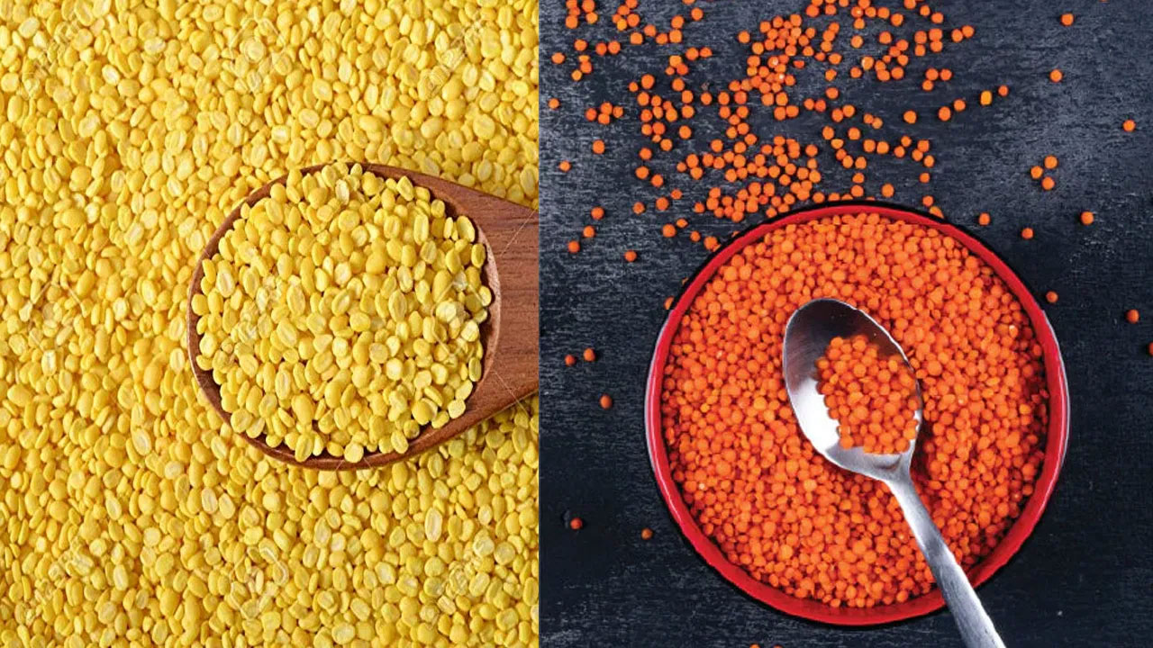 Moong Vs Masoor Dal | పెసరపప్పు-ఎర్రపప్పు.. ఈ రెండింట్లో ఏది ఆరోగ్యానికి మంచిది..?