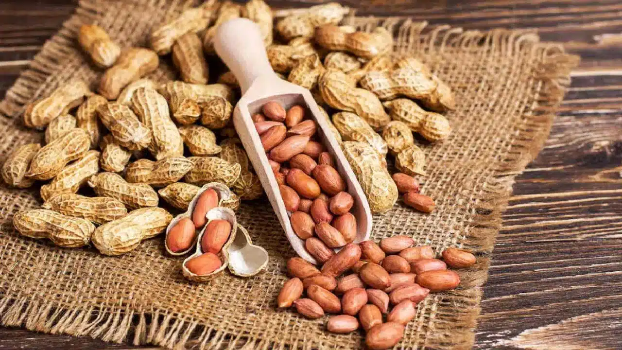 Health Tips | మీరు వేరు శెన‌గ ఎక్కువ‌గా తింటున్నారా.. అయితే ఈ విష‌యాలు తెలుసుకోండి