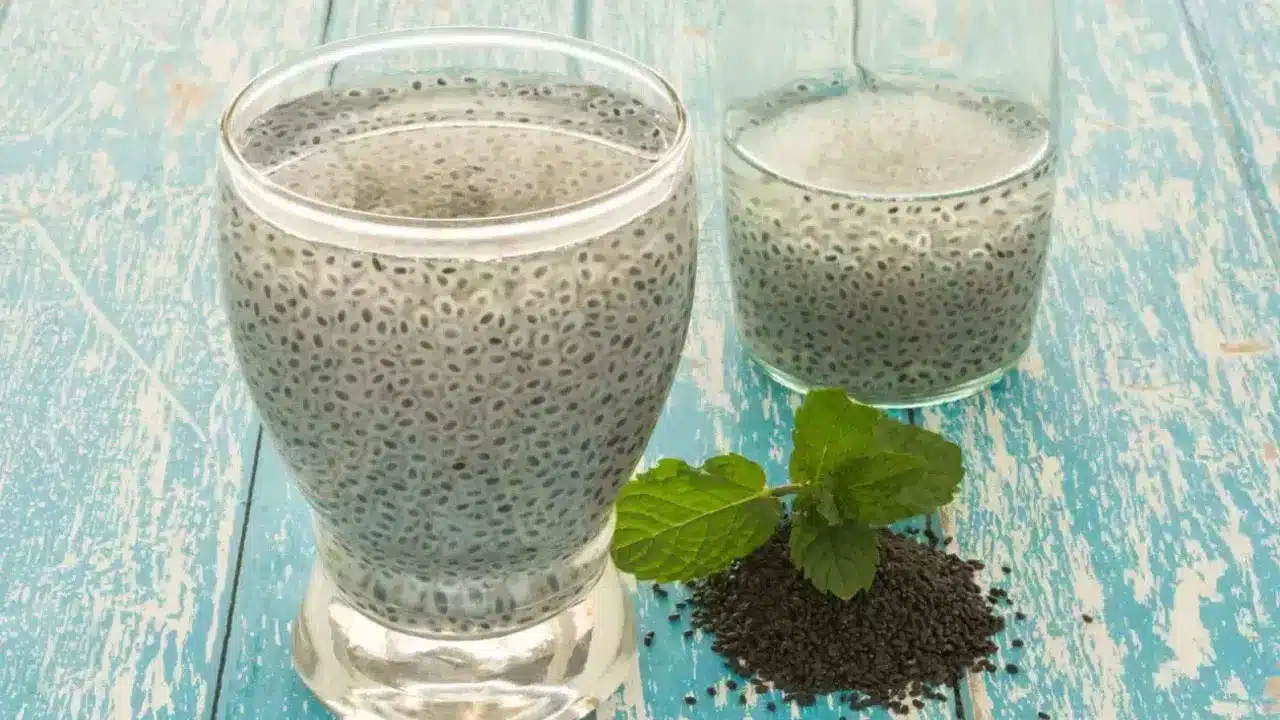 chia seeds | చియా గింజలు ఆరోగ్యానికి మంచివే కానీ.. ఇలా తింటే ప్రమాదమే అంటున్న నిపుణులు!