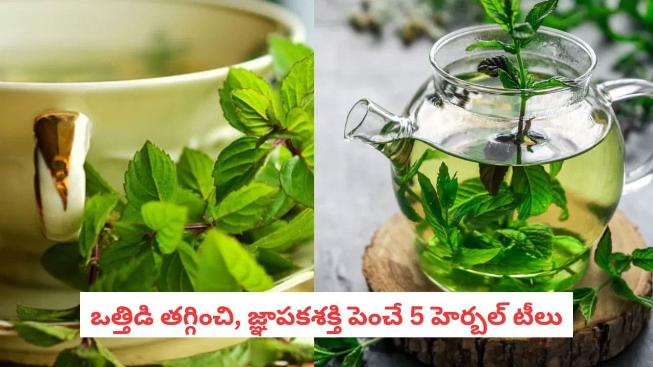 TEA | మెదడు ఆరోగ్యాన్ని మెరుగుపరచే భారతీయ ఆయుర్వేద టీలు.. ఏంటో తెలుసా?