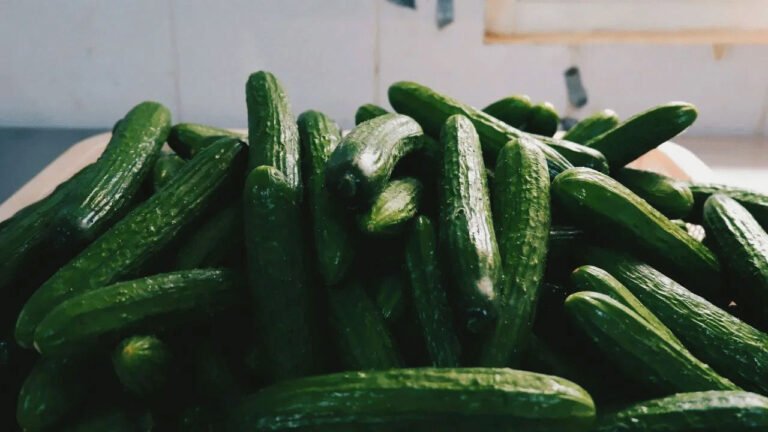 Cucumber health benefits | కీర దోస తినడం వల్ల కలిగే ఆరోగ్య ప్రయోజనాలు .. మధుమేహం ఉన్నవారికి ఎంతో మేలు