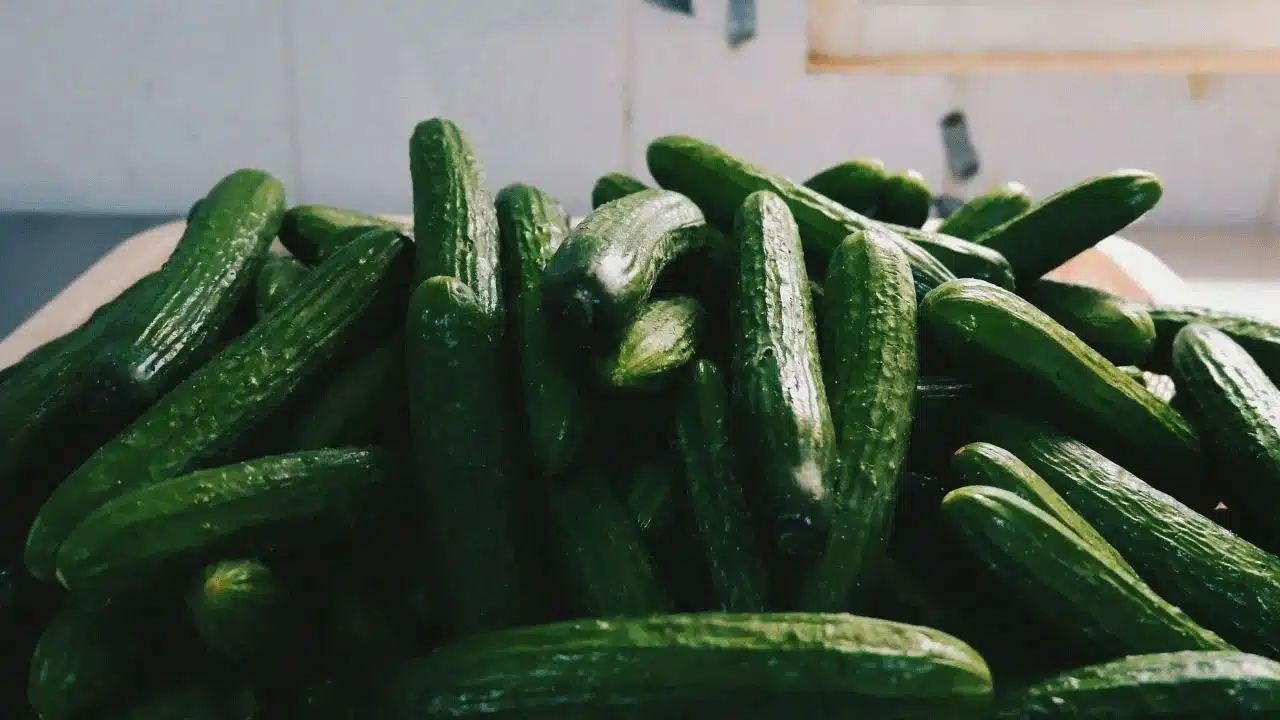 Cucumber health benefits | కీర దోస తినడం వల్ల కలిగే ఆరోగ్య ప్రయోజనాలు .. మధుమేహం ఉన్నవారికి ఎంతో మేలు