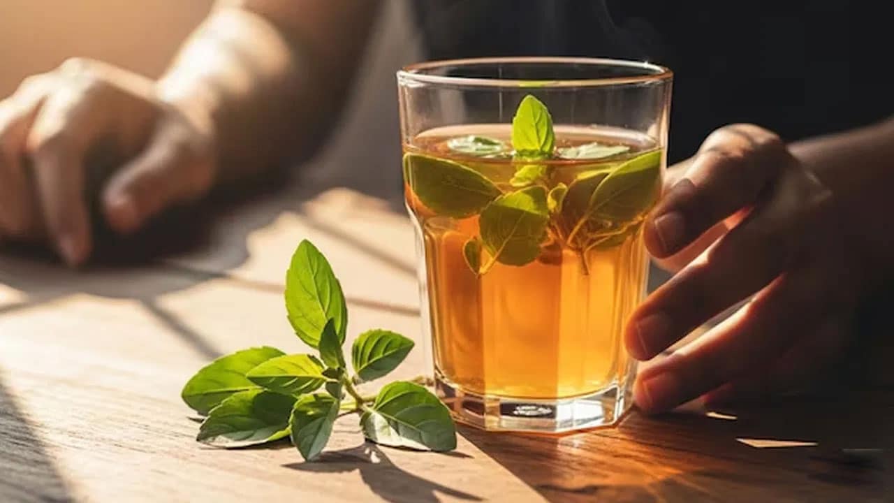 Tulsi Leaves | తులసి నీరు ఆరోగ్యానికి చాలా ఉప‌యోగం.. నిపుణులు చెబుతున్న అద్భుత ప్రయోజనాలు