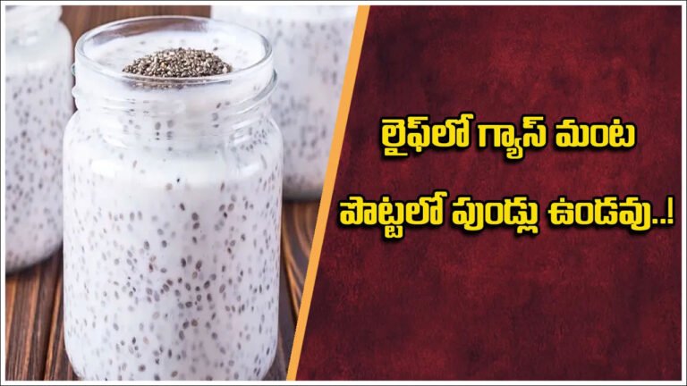 Chia Seeds | పేగు ఆరోగ్యానికి పవర్‌ఫుల్ కాంబినేషన్ .. పెరుగు, చియా సీడ్స్ మిశ్రమం ప్రయోజనాలు!