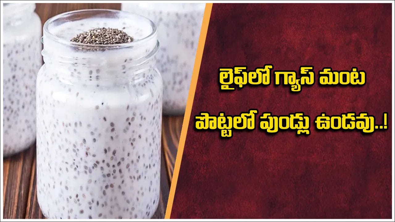 Chia Seeds | పేగు ఆరోగ్యానికి పవర్‌ఫుల్ కాంబినేషన్ .. పెరుగు, చియా సీడ్స్ మిశ్రమం ప్రయోజనాలు!