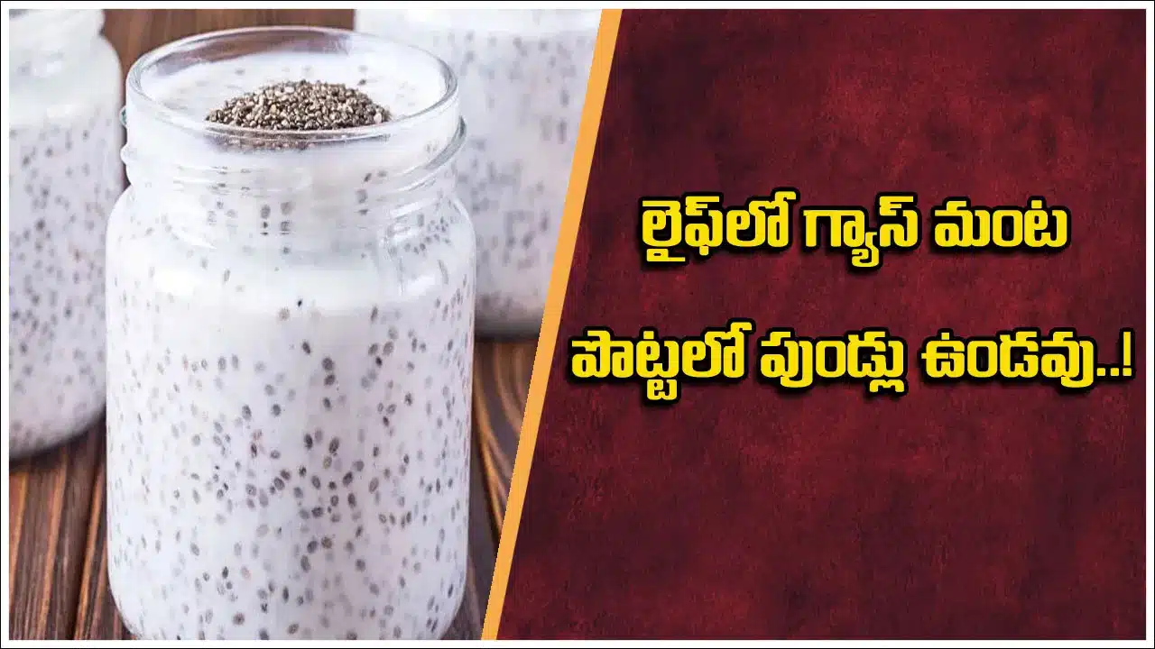 Chia Seeds | పేగు ఆరోగ్యానికి పవర్‌ఫుల్ కాంబినేషన్ .. పెరుగు, చియా సీడ్స్ మిశ్రమం ప్రయోజనాలు!