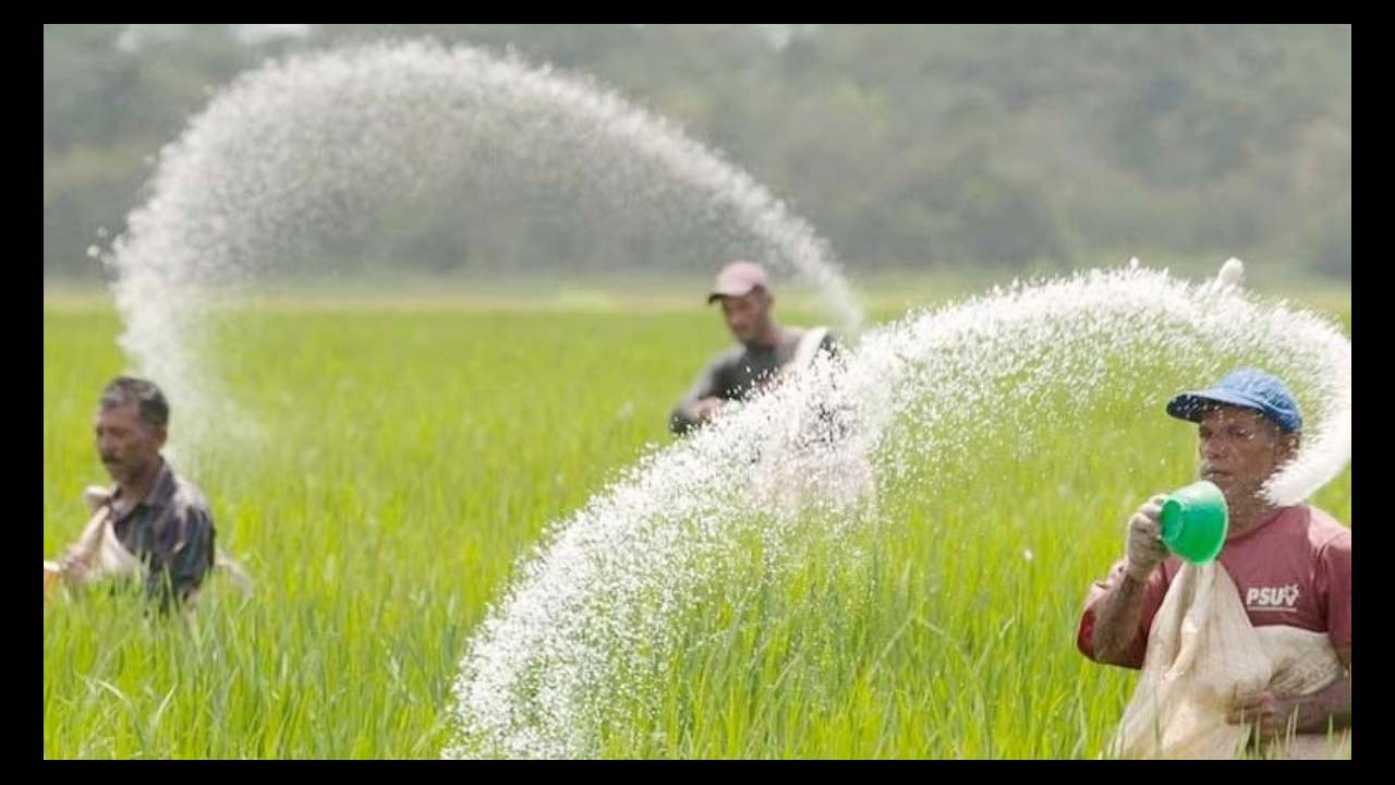 Urea : ఆంధ్ర యూరియా తెలంగాణకు వస్తుందట..వైసీపీ నేత కీలక వ్యాఖ్యలు