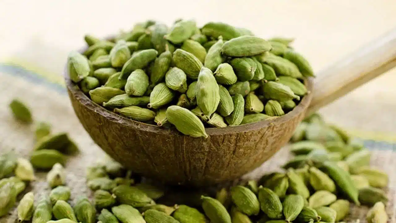 C ardamom| సుగంధ ద్రవ్యాల రాణి యాలకులు.. ఎన్ని అద్భుత ప్ర‌యోజ‌నాలు ఉన్నాయో తెలుసా?