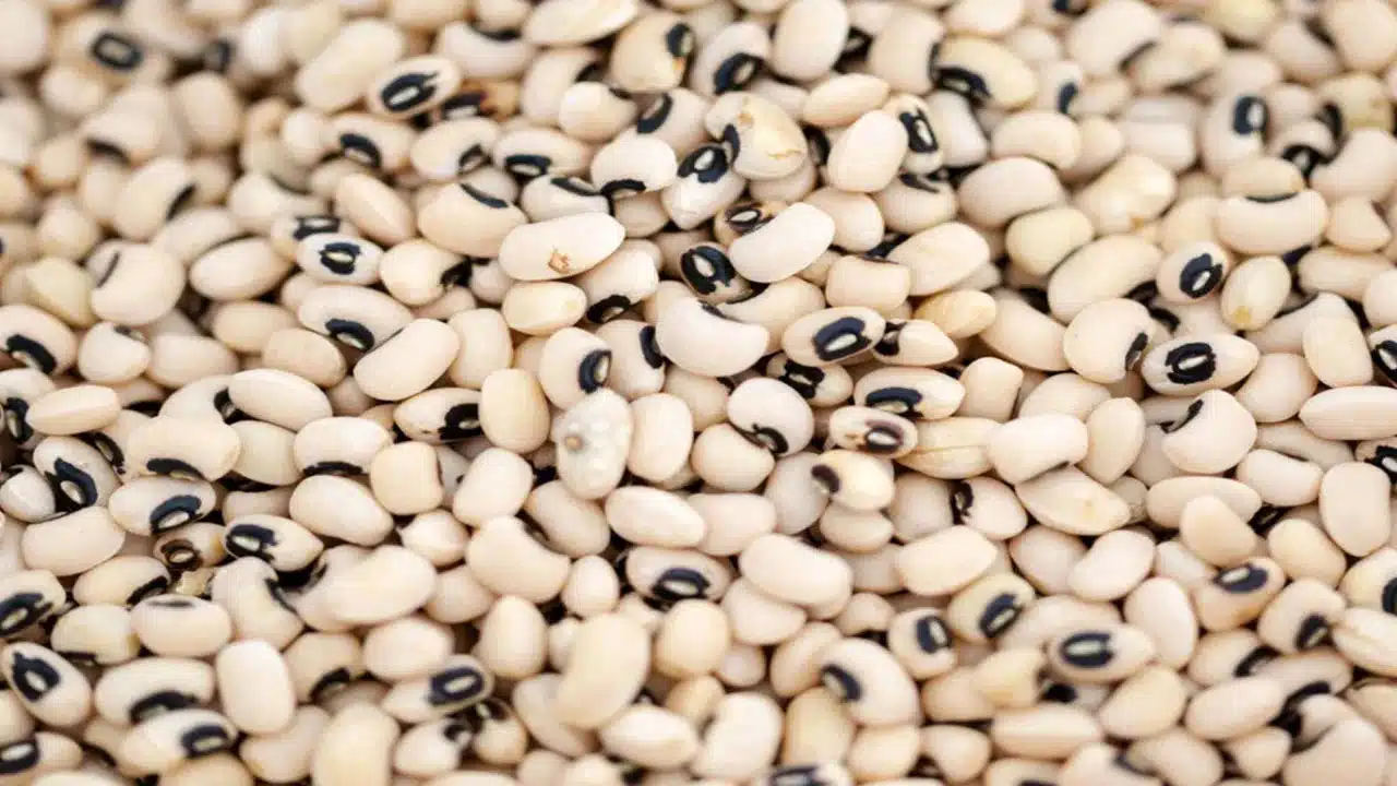 Black eyed peas | ఆరోగ్యానికి బొబ్బర్లు వరం ..ప్రతిరోజూ తింటే లాభాలే లాభాలు..!