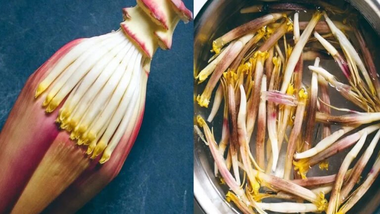 Miracle medicine | అరటి పువ్వు ఆరోగ్యానికి అద్భుతమైన ఔషధం..డయాబెటిస్‌ నుండి రక్తహీనత వరకు పరిష్కారం!
