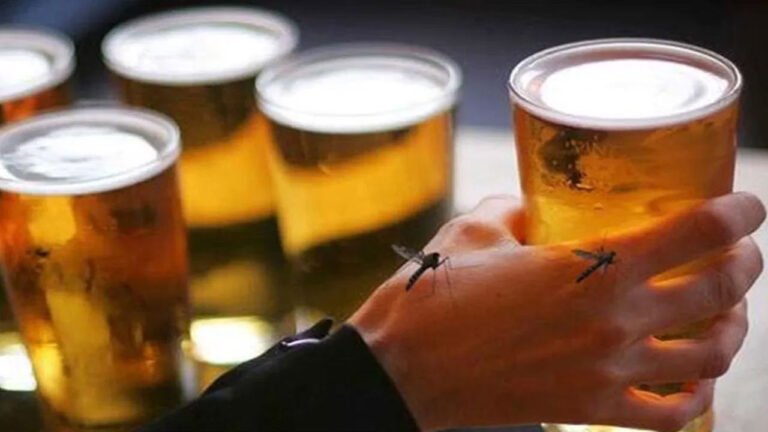 Beer | బీరు తాగిన వారిని ఎక్కువగా దోమలు ఎందుకు కుడతాయో తెలుసా?