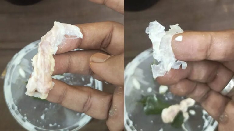 Zomato | జొమాటో చేసిన ప‌నికి నోరెళ్ల‌పెట్టిన నెటిజ‌న్స్.. ఏం ఆర్డ‌ర్ చేస్తే ఏం వ‌చ్చిందంటే..!
