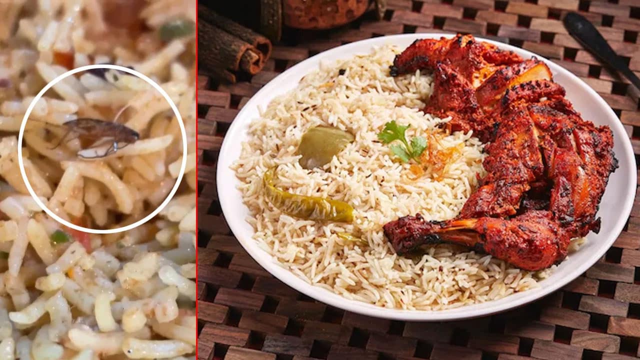 Biryani | బిర్యానీలో బొద్దింక .. అరేబియన్ మండి రెస్టారెంట్‌లో చెదు అనుభవం!