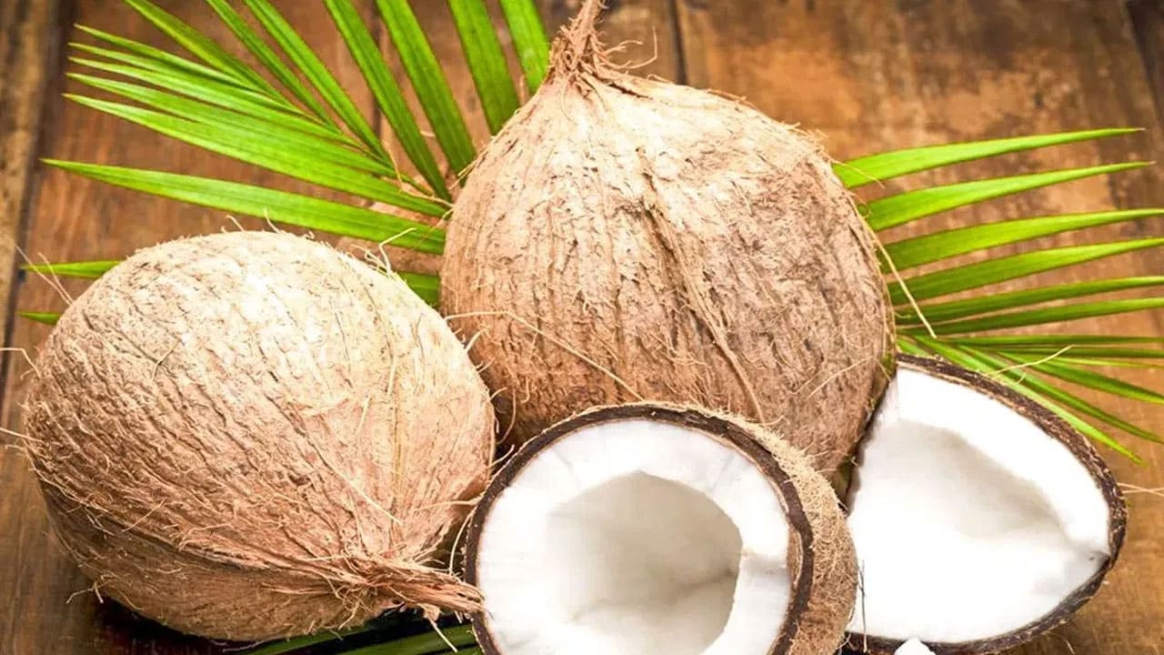 Coconut| ప‌రిగ‌డ‌పున కొబ్బ‌రి తింటే అన్ని ఉప‌యోగాలు ఉన్నాయా..!