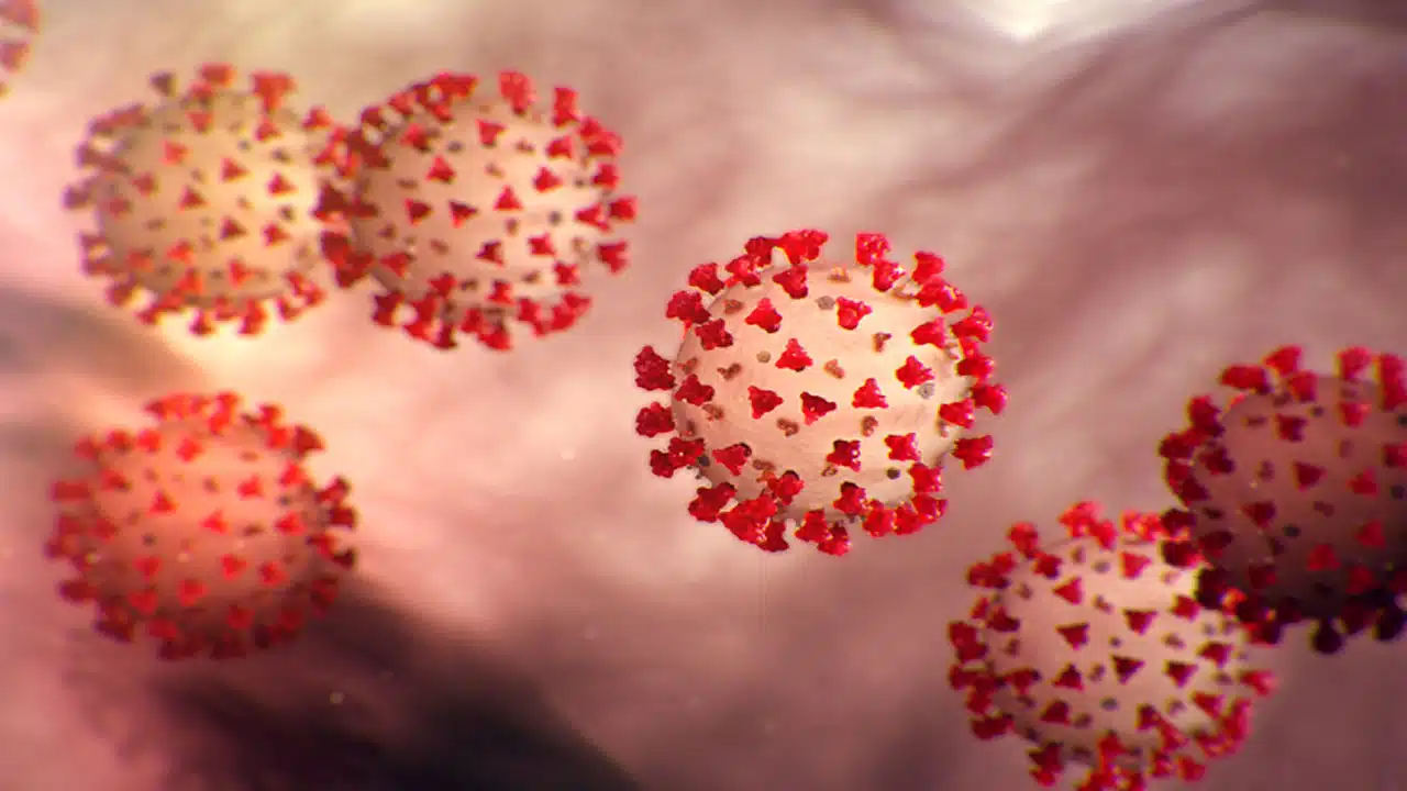 Corona | కరోనా తగ్గిన వీడని సమస్య.. చాలా మందికి ఈ విషయం తెలియకపోవచ్చు..!